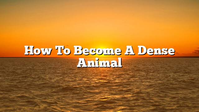 How to become a dense animal