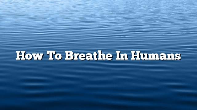 How to breathe in humans