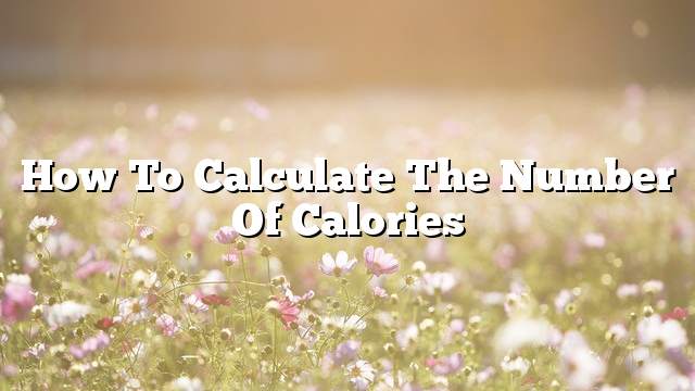 How to calculate the number of calories