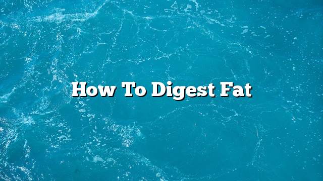 How to digest fat