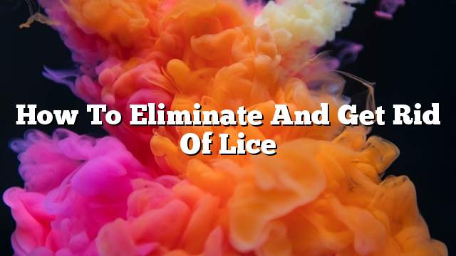 How to eliminate and get rid of lice