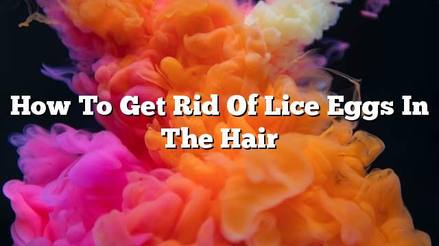 How to get rid of lice eggs in the hair