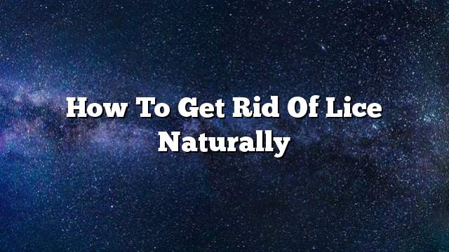 How To Get Rid Of Lice Naturally