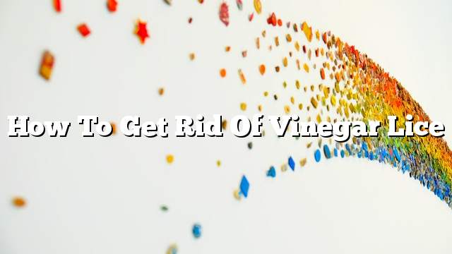 How to get rid of vinegar lice