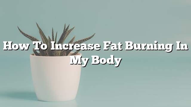 How to increase fat burning in my body