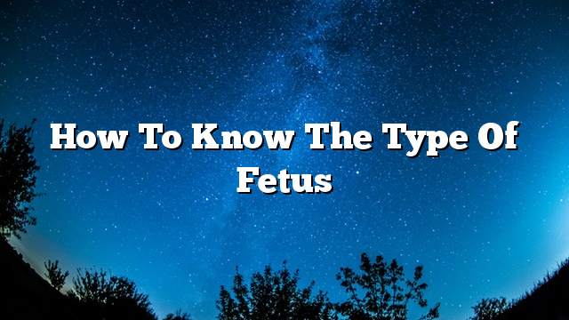 How to know the type of fetus