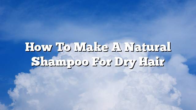 How to make a natural shampoo for dry hair