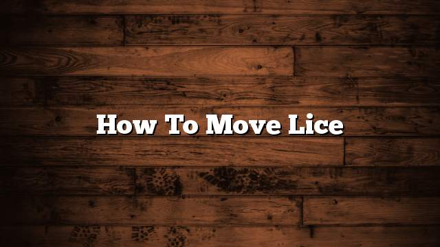 How to move lice