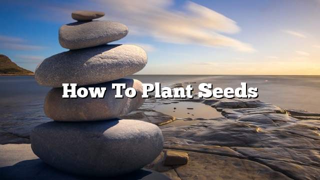 How to plant seeds