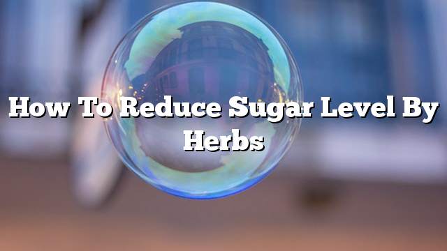 How to reduce sugar level by herbs