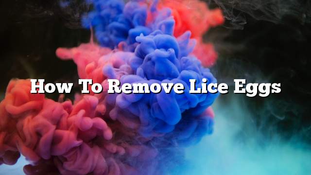 How to remove lice eggs