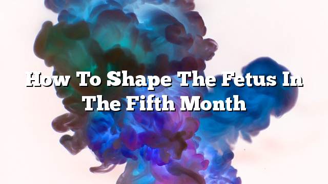 How to shape the fetus in the fifth month