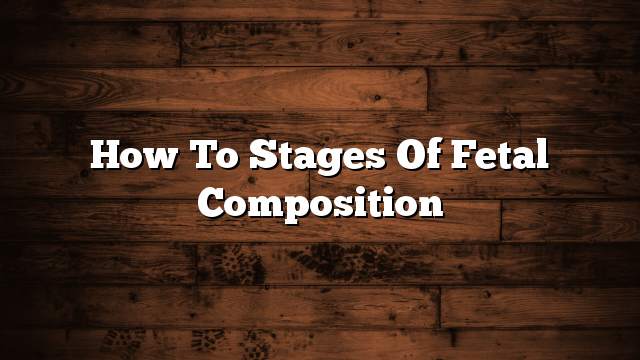 How to Stages of Fetal Composition