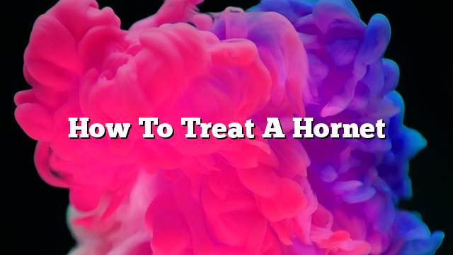 How to treat a Hornet