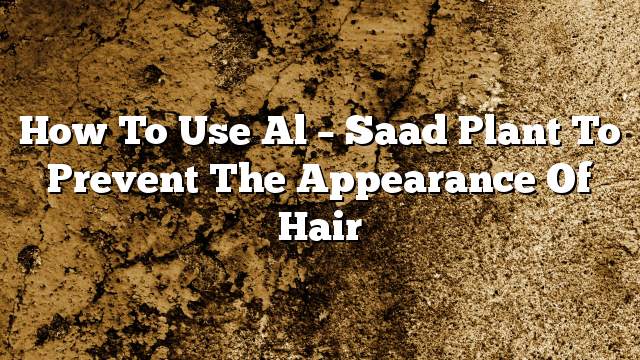 How to use Al – Saad plant to prevent the appearance of hair