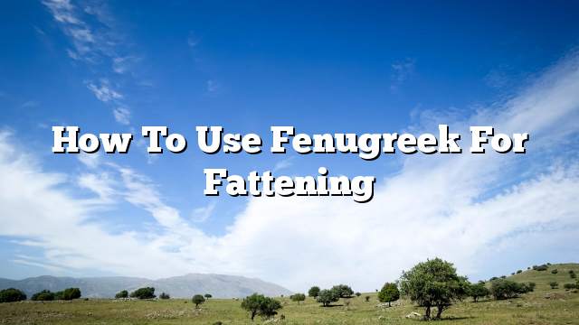 How to use fenugreek for fattening