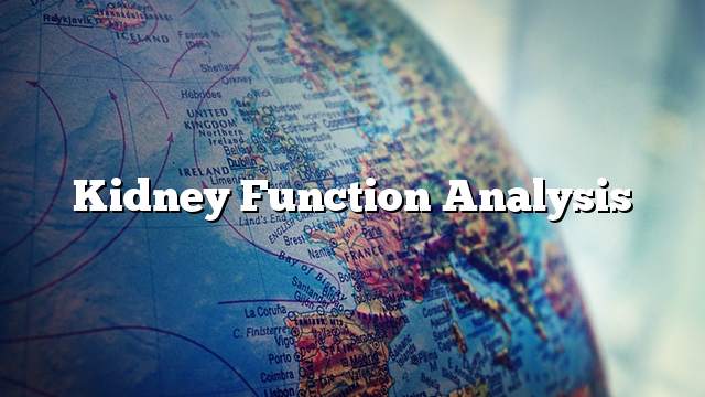 Kidney function analysis