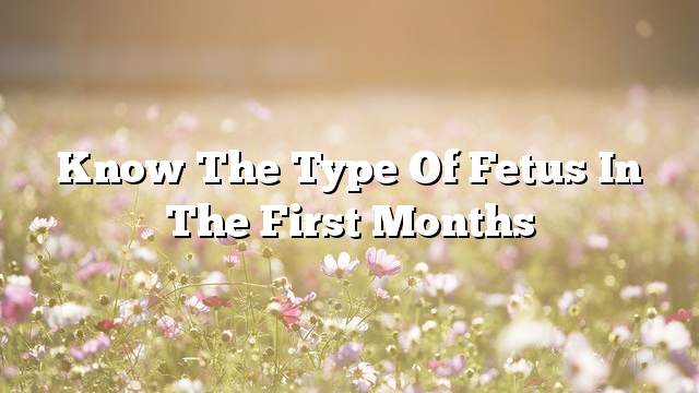 Know the type of fetus in the first months