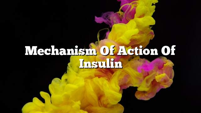 Mechanism of action of insulin