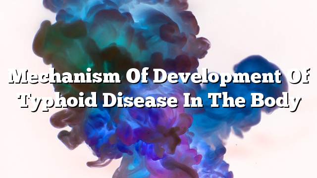 Mechanism of development of typhoid disease in the body