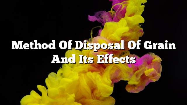 Method of disposal of grain and its effects