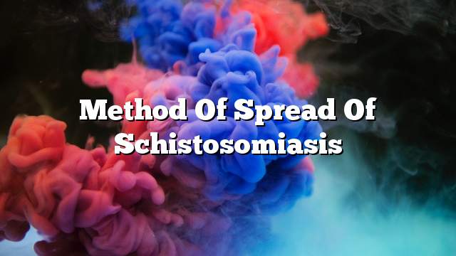 Method of spread of schistosomiasis