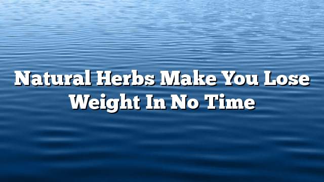 natural herbs make you lose weight in no time