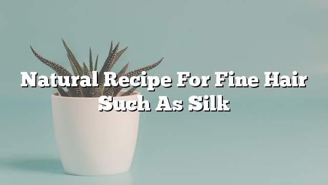 Natural recipe for fine hair such as silk