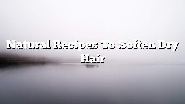 Natural recipes to soften dry hair