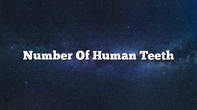 Number of human teeth