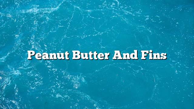 Peanut butter and fins
