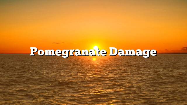 Pomegranate damage