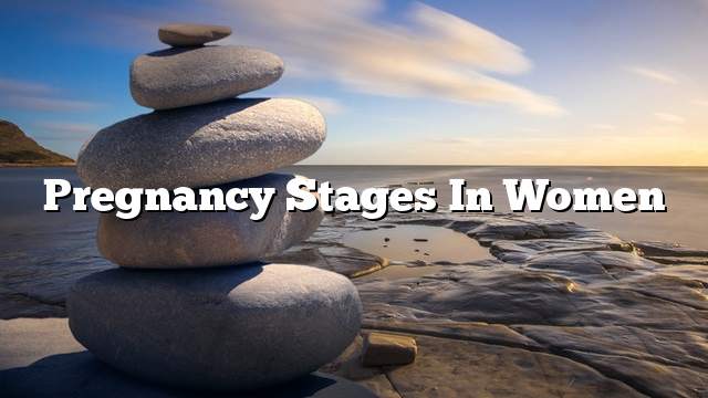 Pregnancy stages in women