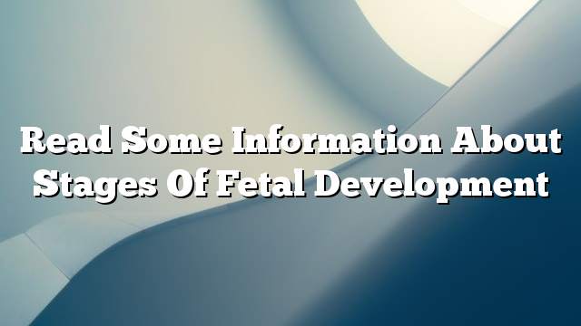 Read some information about stages of fetal development