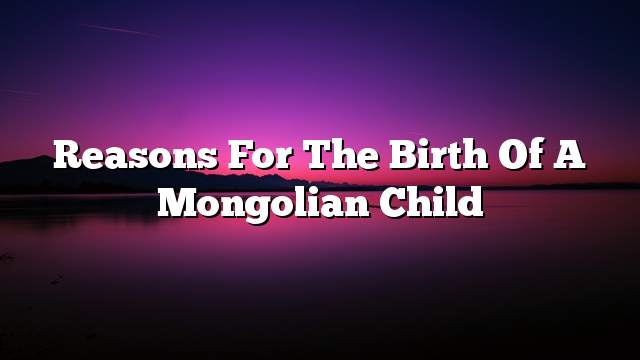 Reasons for the birth of a Mongolian child