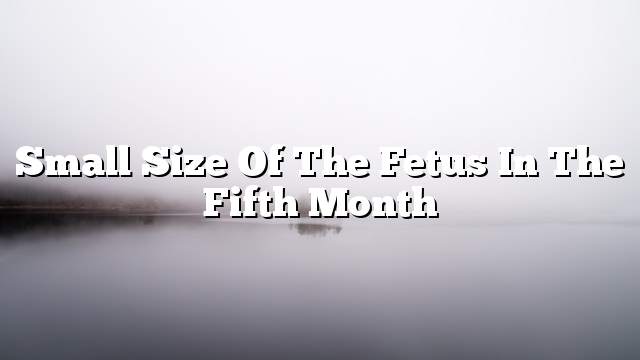 Small size of the fetus in the fifth month