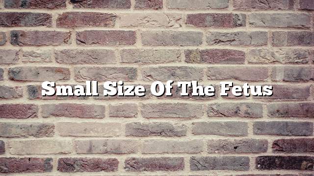 Small size of the fetus