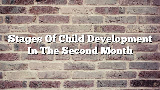 Stages of child development in the second month