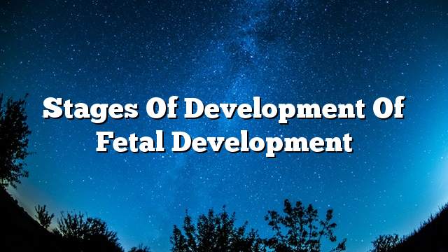 Stages of development of fetal development