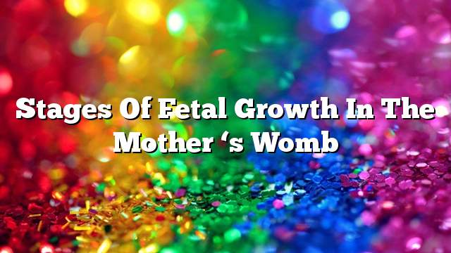 Stages of fetal growth in the mother ‘s womb