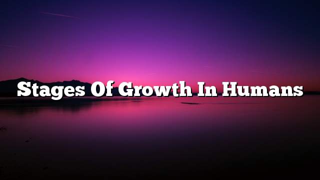 Stages of growth in humans - ON THE WEB TODAY