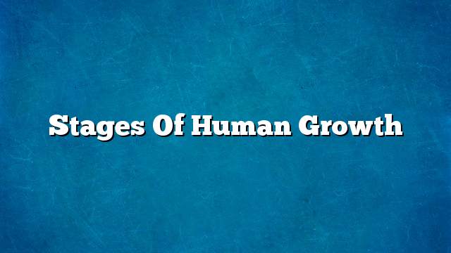 Stages of human growth
