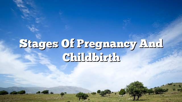 Stages of pregnancy and childbirth