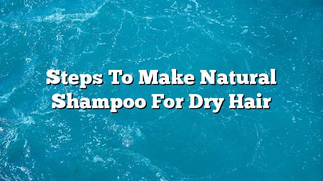 Steps to make natural shampoo for dry hair