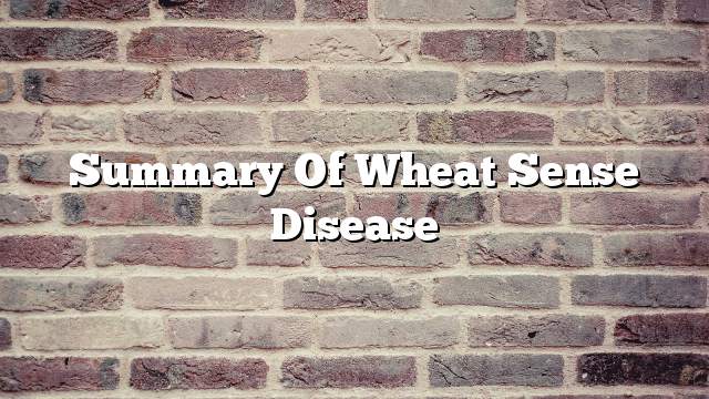 Summary of Wheat Sense Disease