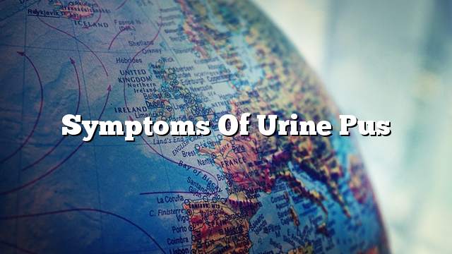 Symptoms of urine pus