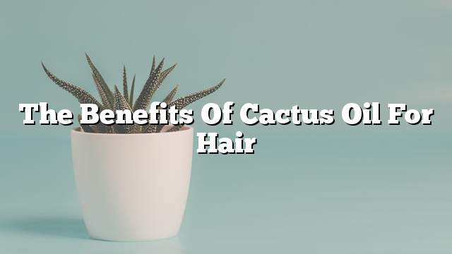The benefits of cactus oil for hair
