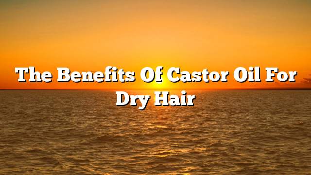 The benefits of castor oil for dry hair
