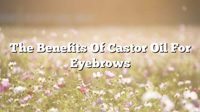 The benefits of castor oil for eyebrows