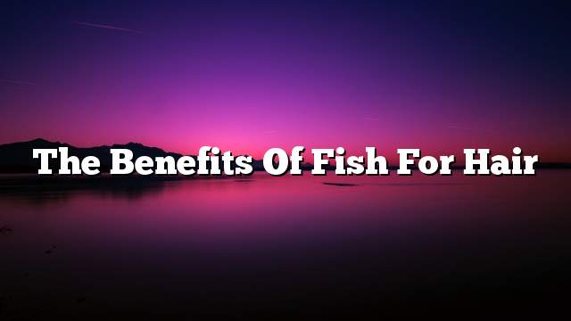The benefits of fish for hair